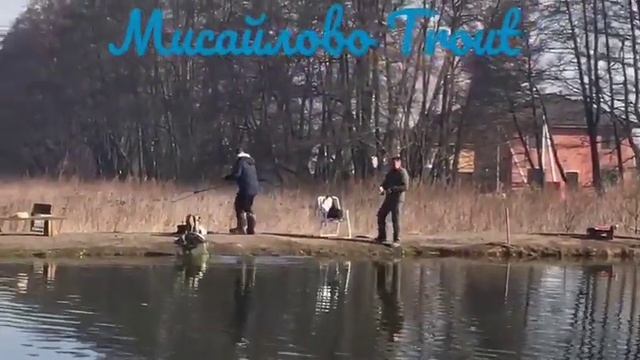 Мисайлово Trout. Прекрасный день. Ловим форель смотреть онлайн