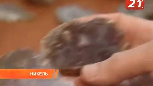 Что такое каменное сердце? Как выжить час в ледяной воде? Где найти мидии с ладонь? смотреть онлайн
