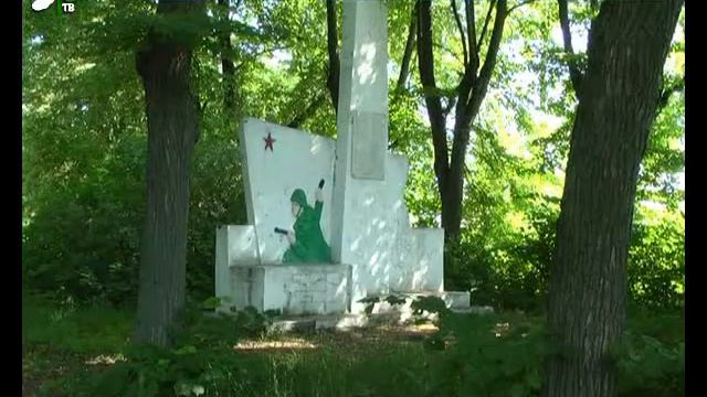 Парк на «Мальщине» постепенно превращается в лес смотреть онлайн