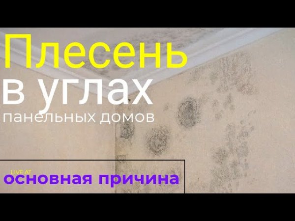 Плесень в углах как бороться. Сырые углы в панельке. Как избежать новой плесени после ремонта