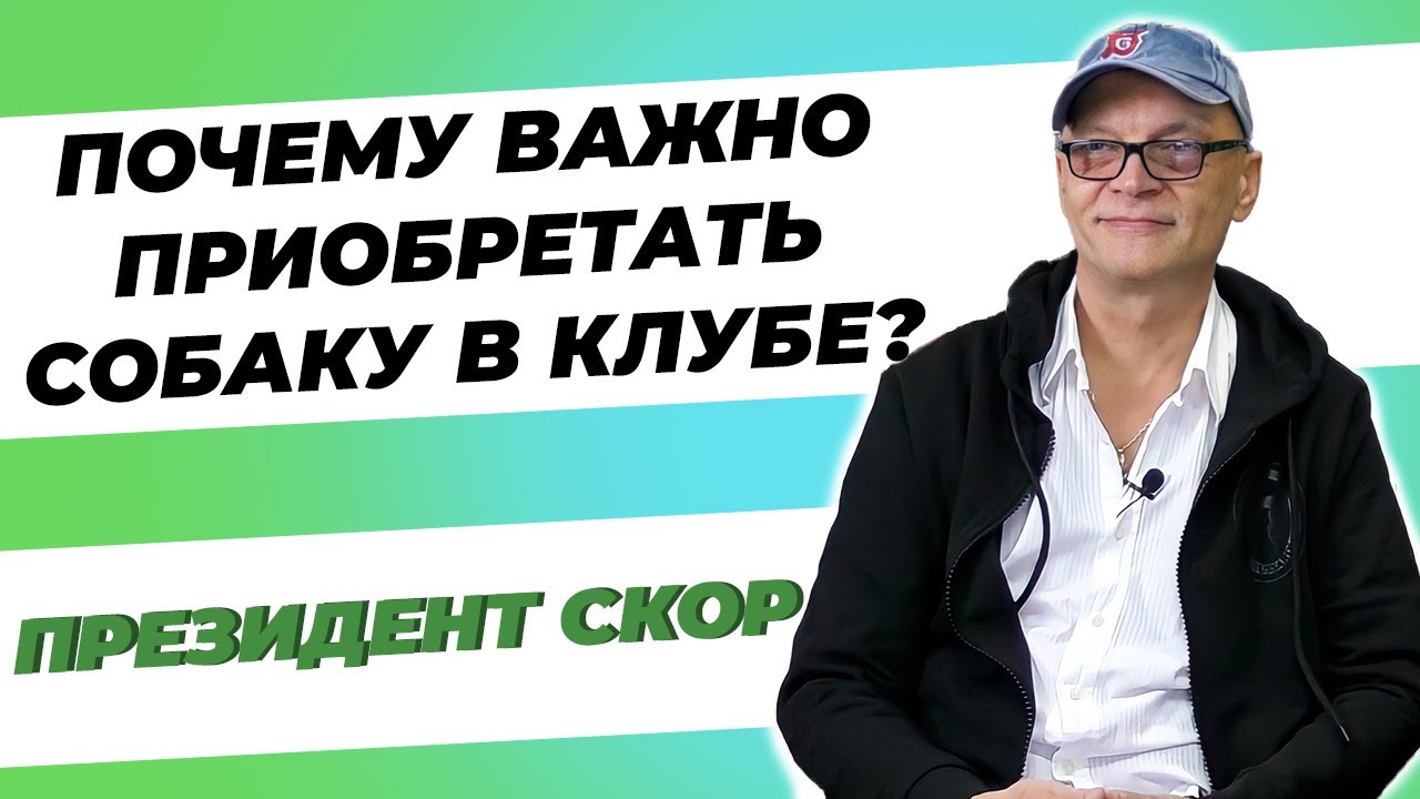 Клуб СКОР - Интервью с президентом - Почему важно приобретать собаку в клубе? - Владимир Уражевский смотреть онлайн