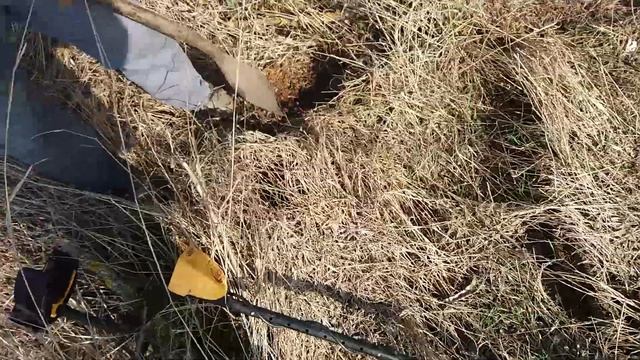 Неожиданные находки. смотреть онлайн