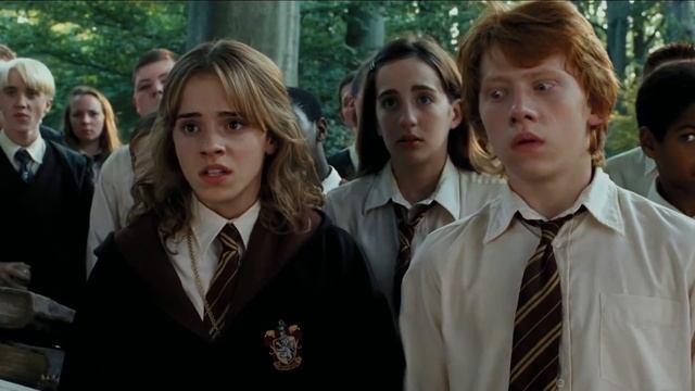 Гарри Поттер и невероятные факты про Рона и Гермиону смотреть онлайн