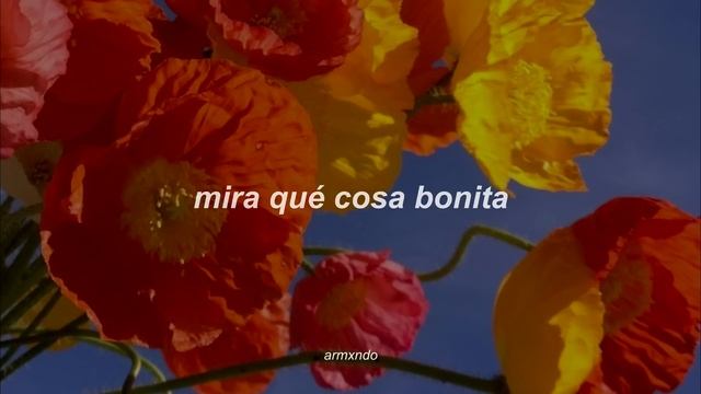 Shakira — Me Enamoré [Letra] смотреть онлайн
