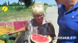 Отзывы о новинке: арбуз Ливия F1, CLAUSE