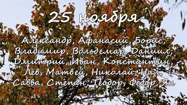 25 ноября – именины сегодня отмечают смотреть онлайн