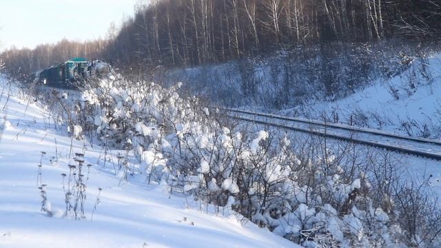 Новогоднее Ожерелье. Перегон Ожерелье - Мордвес Московской железной дороги зимой. смотреть онлайн