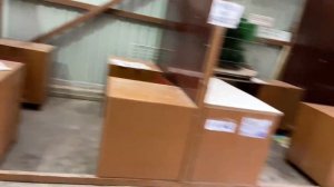 Продажа собак на птичьем рынке Садовод в Москве