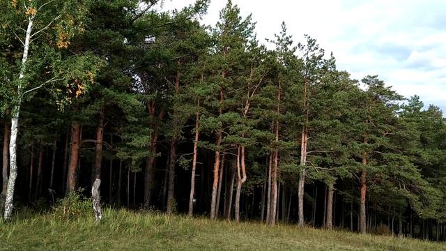 Лысая гора, Миасс, район Автозавод смотреть онлайн