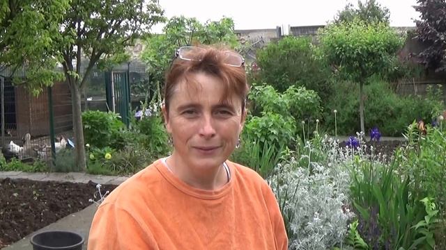 chaine de Jardinage: lunaire:(monnaie du pape) :Comment récolter des graines: Plante bisannuelle смотреть онлайн
