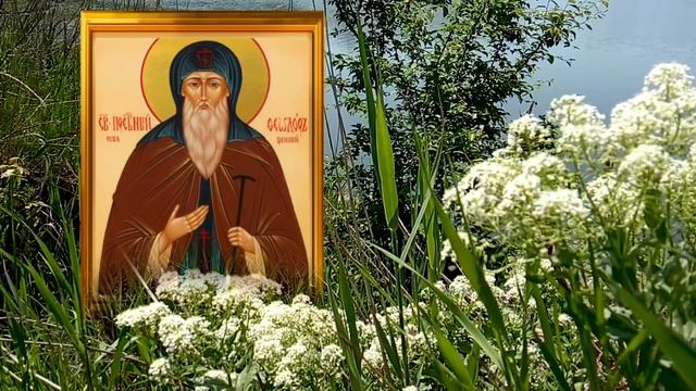 Не принимайте важных решений и не отмечайте важные семейные праздники смотреть онлайн