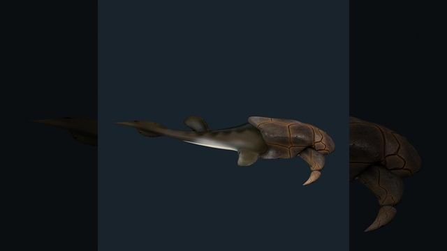 Bothriolepis turntable смотреть онлайн