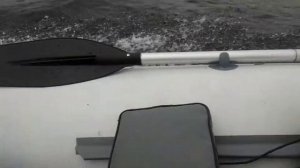 Флагман 380 L + tohatsu 9.8