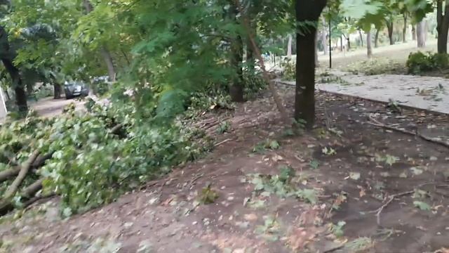 МОЛДОВА Кишинёв ? Рышкановка смотреть онлайн