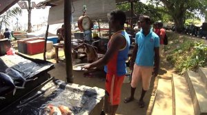 86 Шри Ланка Что ловят Рыбный рынок. Цены на морепродукты Sri_Lanka