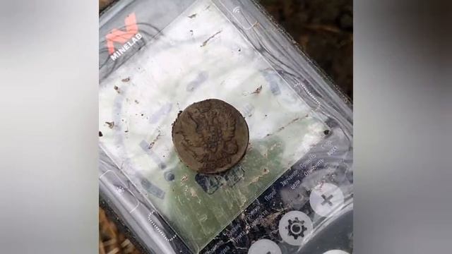 Где покопать в Ярославской области? Места для копа смотреть онлайн