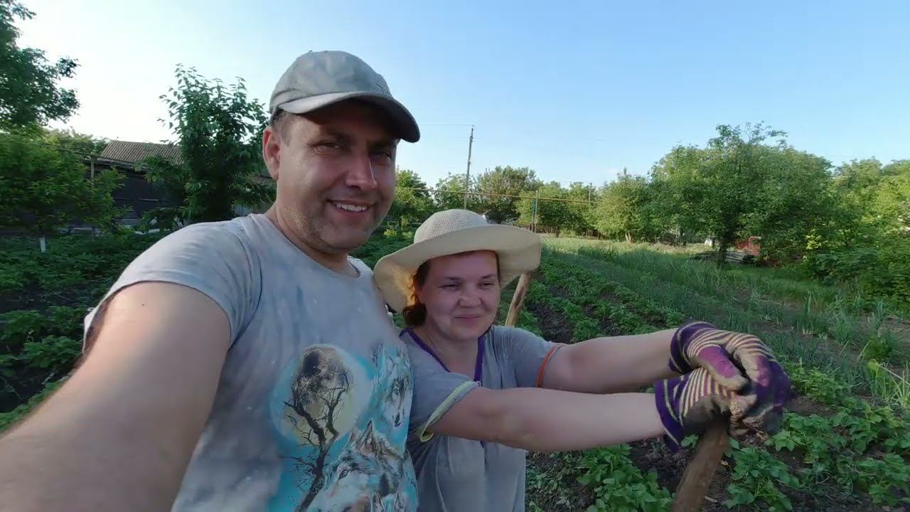 РЕШИЛИ ВСЮ ЗЕМЛЮ СКУПИТЬ / ЦЫПЛЯТА ПЕРЕЕХАЛИ смотреть онлайн