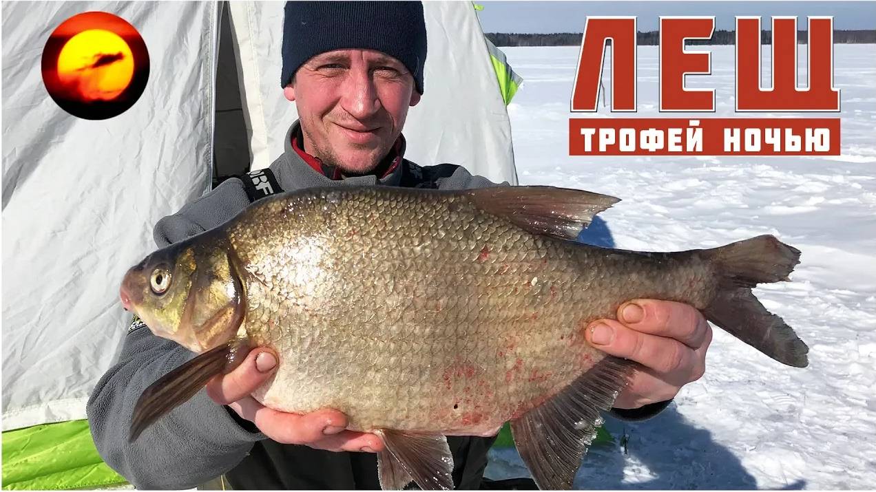 Ловля Леща Ночью / Рыбалка на Трофея в палатке смотреть онлайн
