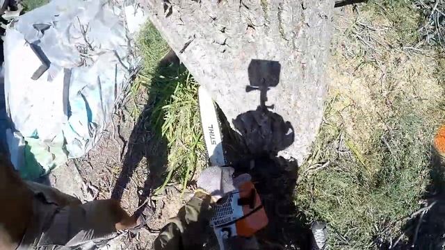 Shtil 361 и сухой орех смотреть онлайн