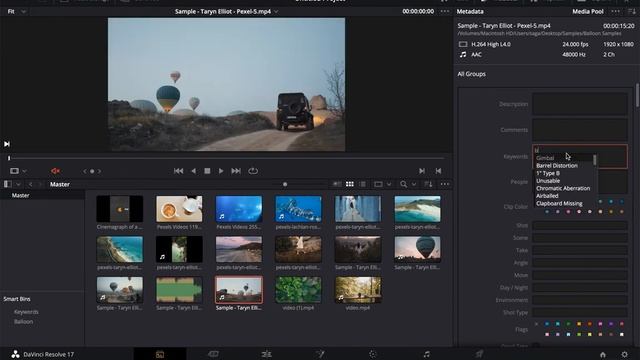 Davinci Resolve 17 - Smart Bins and Power Bins смотреть онлайн