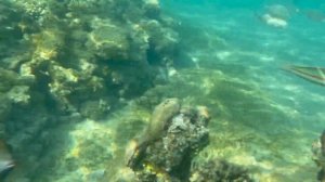 ??#5 | Обзор пляжа отеля Dana Beach Resort 5★ Хургада 2021