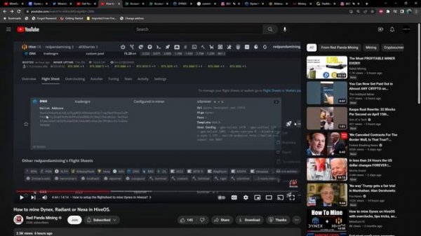 DYNEX web wallet back online, options besides the web wallet - GUI wallet and mining to Tradeogre