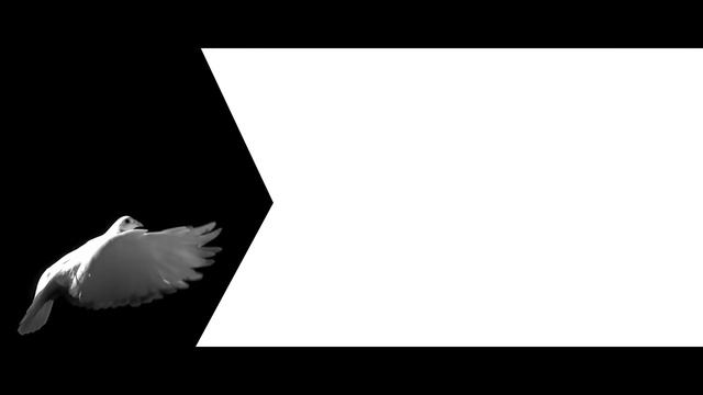 ŠKODA KAROQ: The New Compact SUV