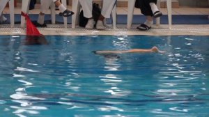 Фигура синхронного плавания Квадрат