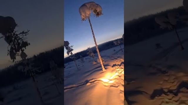 Yamaha viking 540 3 i Jämtlands skogen. смотреть онлайн