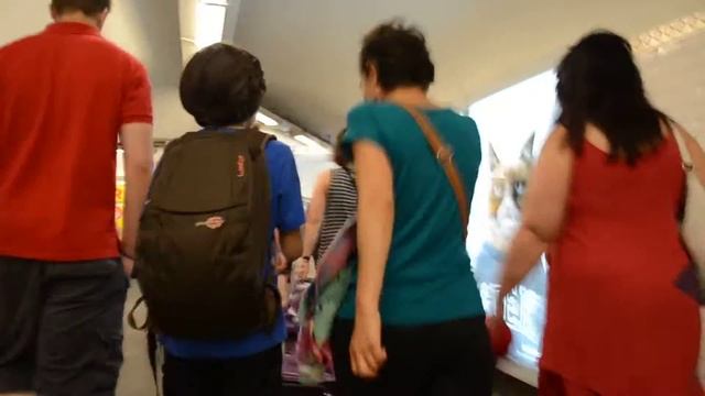 Китайская скрипка эрху в метро Парижа смотреть онлайн