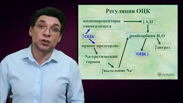 Физиология выделения 3. Регуляция выделения. Почки и гомеостаз смотреть онлайн