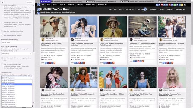 Customizer Theme Options - GridHot PRO WordPress Theme смотреть онлайн