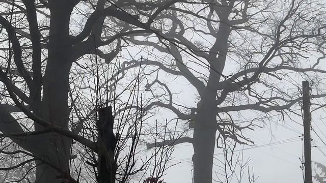 ПОПРАННЫЙ РАЙ...Н.Бавария,Липовая Роща,ошмётки дубового парка. смотреть онлайн