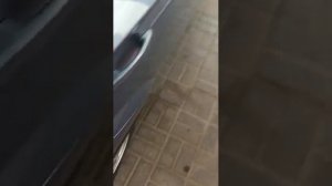 Gaz prom neft полный бак АИ 95 G-Drive
