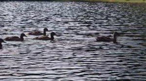 aqua marina caliber fishing kayak