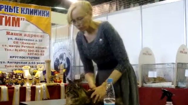 10 мес. WCF-ring-Adult Tatjana Černova, Latvia 10 мая Москва. смотреть онлайн