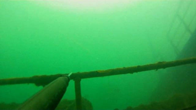 Окунь на РЭКе голубое озеро Подводная охота смотреть онлайн