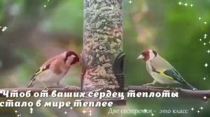 Доброта это свет и тепло наших глаз ❤️Христианская песня 🙏🙏🙏