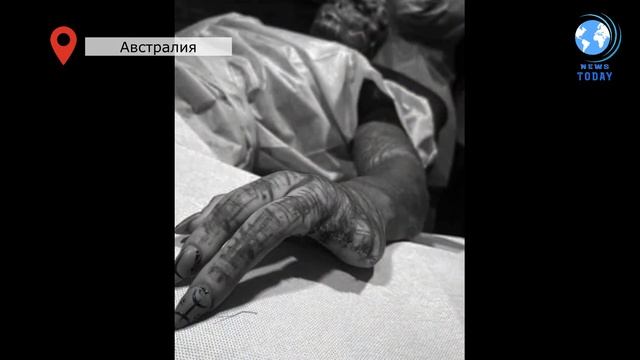 Пришелец француз все меньше становится похожим на хомосапиенс смотреть онлайн