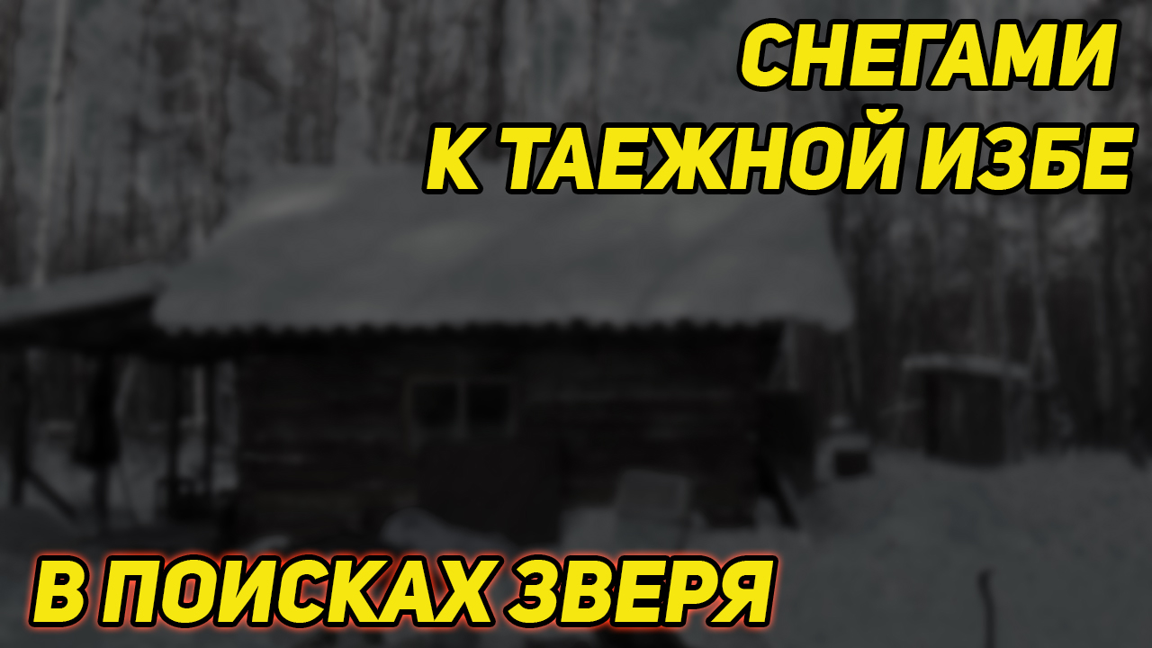 Снегами к таежной избе в поисках дикого зверя. Добрались до зимовья. Наколол дров, ношу воду в мешке смотреть онлайн