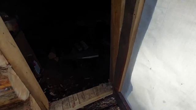 Конская работа (кедровая лихорадка) в Бурятии цены нет смотреть онлайн