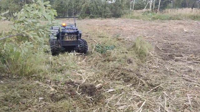РАСЧИСТКА УЧАСТКА смотреть онлайн