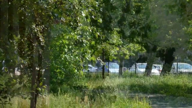 Time Lapse Школа смотреть онлайн