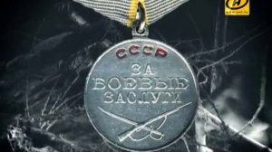 Собаки-подрывники - четвероногие герои Второй мировой