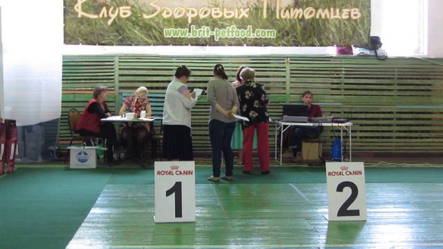 MVI 9284 смотреть онлайн