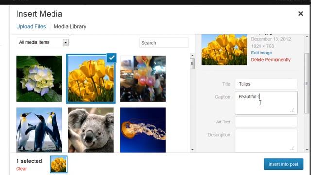 How to Upload/Insert an Image From Media Library in WordPress 3.5 смотреть онлайн