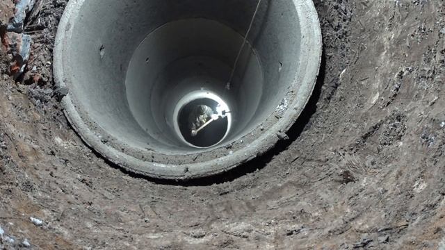 зимой в морозы самое время копать колодцы смотреть онлайн