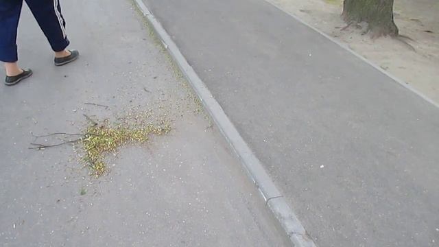 Метла метёт. 0+100- смотреть онлайн