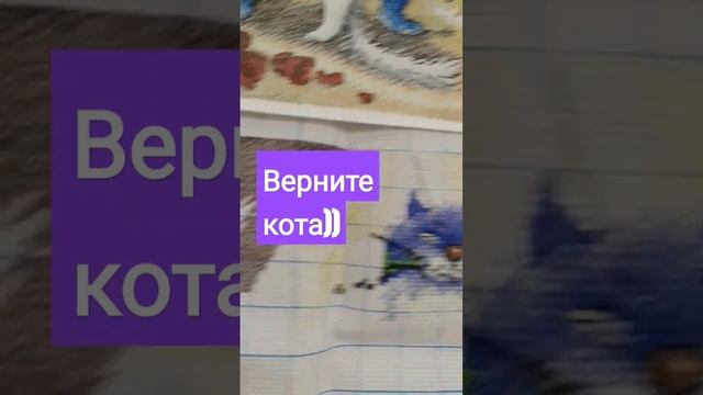Вы просили вернуть кота? Кот возвращается!!! смотреть онлайн
