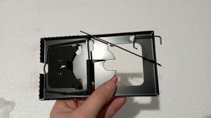 Как избавиться от крыс. Пробую разные методы борьбы с крысами и мышами. Кур замело снегом.